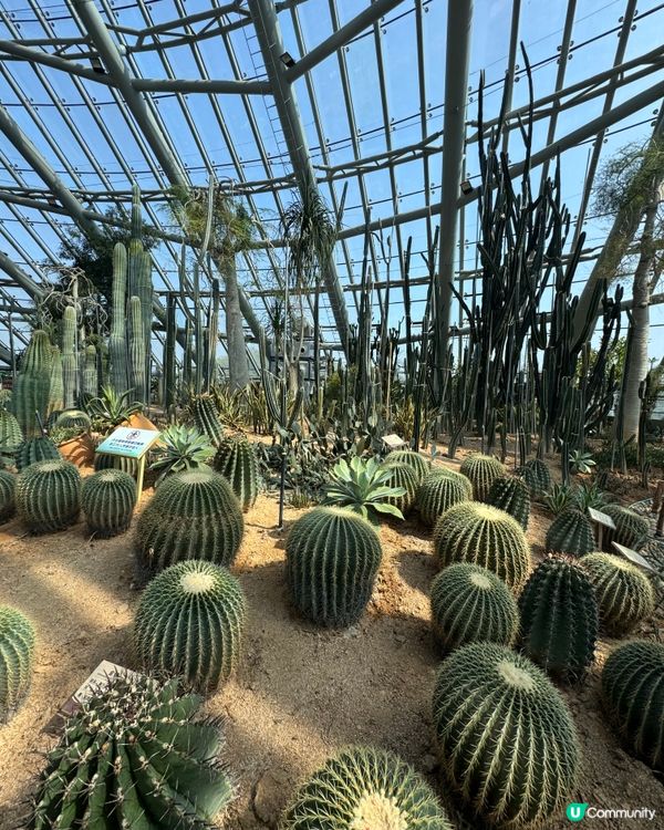免費入場：巨型溫室植物園
