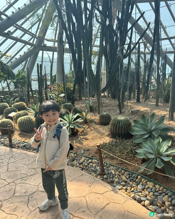 免費入場：巨型溫室植物園