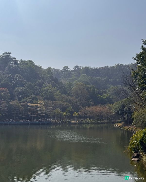 免費入場：巨型溫室植物園