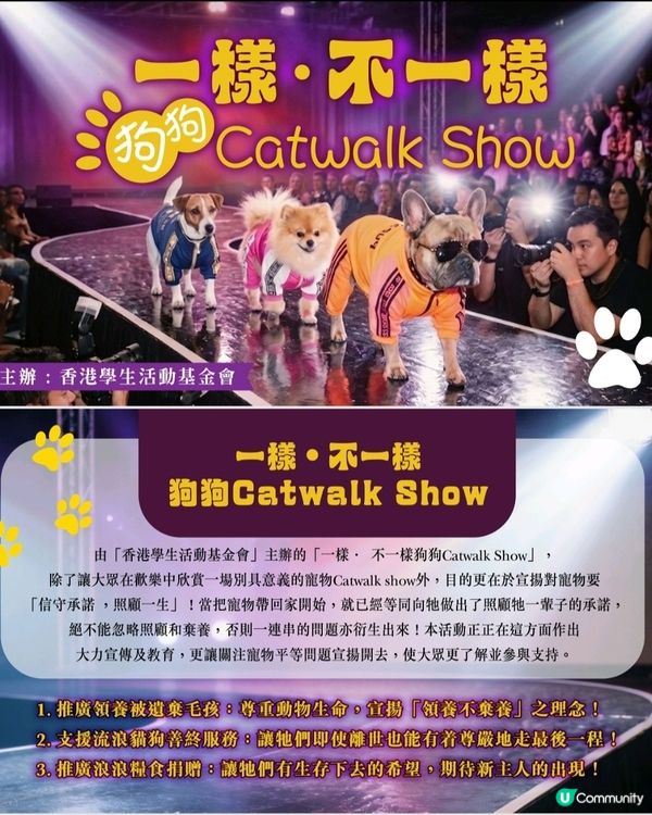 6月28日❤️一樣。不一樣Cat Walk Show❤️ 