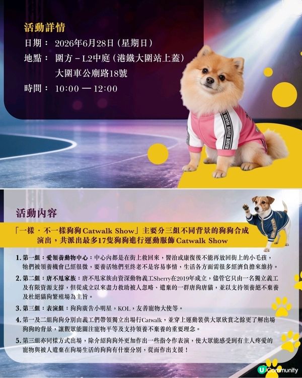 6月28日❤️一樣。不一樣Cat Walk Show❤️ 