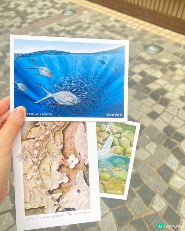 🎨【自然.視覺.檔案】野生生態插畫展 🦎🐟