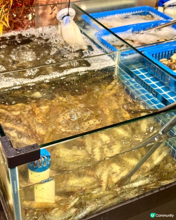 荃灣無限時海鮮火鍋放題 即撈海鮮任食脆肉鯇