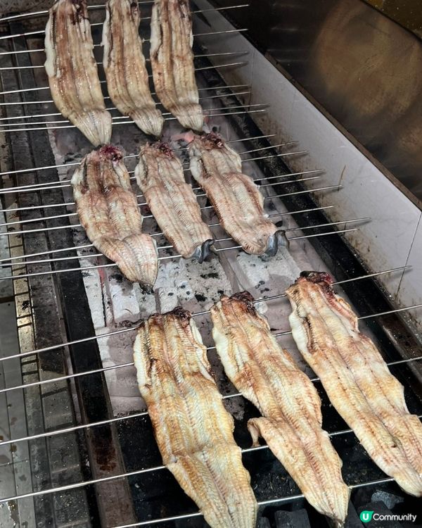 日料驚豔🤤平價鰻魚飯必食！🍣