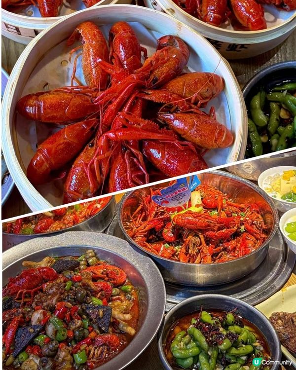 靚靚蒸蝦💥魔都蝦迷必到！🦐