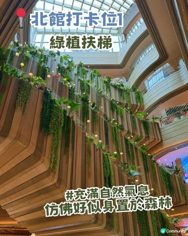 深圳南山區海邊Chill爽一日遊！360度海景/夜間燈光噴泉秀/睇日落