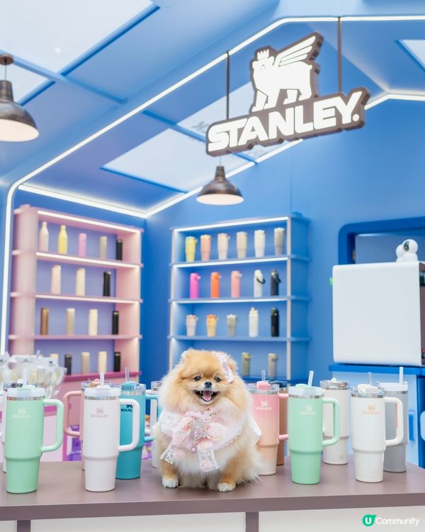 Stanley杯而家可以整毛孩樣😍‼️