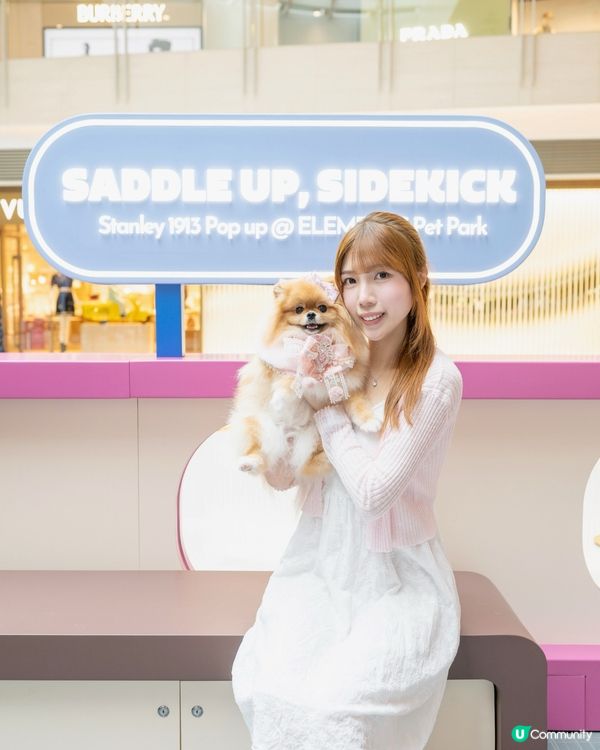 Stanley杯而家可以整毛孩樣😍‼️