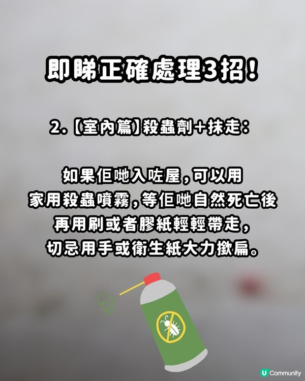 🚨遊日警報！街頭驚現「神秘紅蟲」？專家警告：千祈唔好撳扁！附正確處理3招