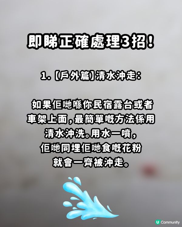 🚨遊日警報！街頭驚現「神秘紅蟲」？專家警告：千祈唔好撳扁！附正確處理3招