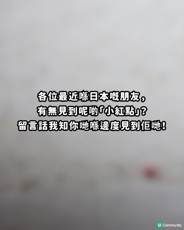 🚨遊日警報！街頭驚現「神秘紅蟲」？專家警告：千祈唔好撳扁！附正確處理3招
