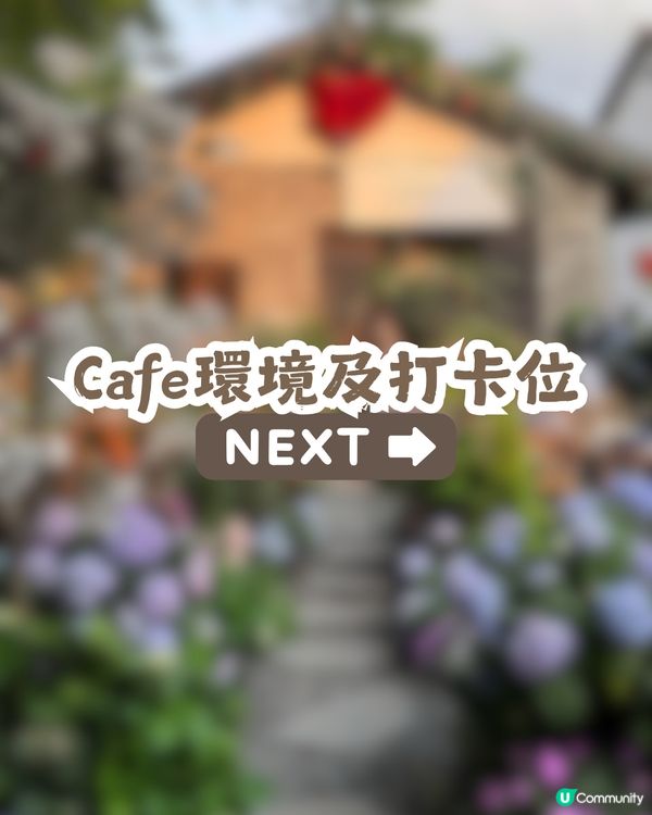 深圳隱世「莫奈花園」貓Cafe - 山林貓咖工坊🐈¥30起打卡花海+25隻貓貓🌸附路線教學