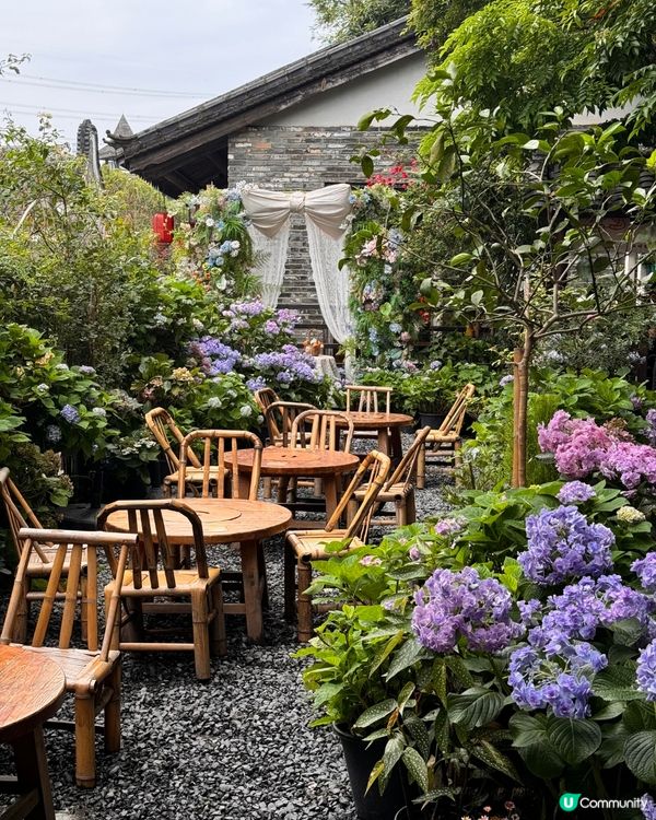 深圳隱世「莫奈花園」貓Cafe - 山林貓咖工坊🐈¥30起打卡花海+25隻貓貓🌸附路線教學