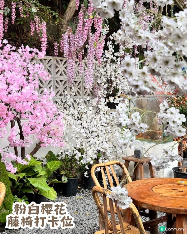 深圳隱世「莫奈花園」貓Cafe - 山林貓咖工坊🐈¥30起打卡花海+25隻貓貓🌸附路線教學