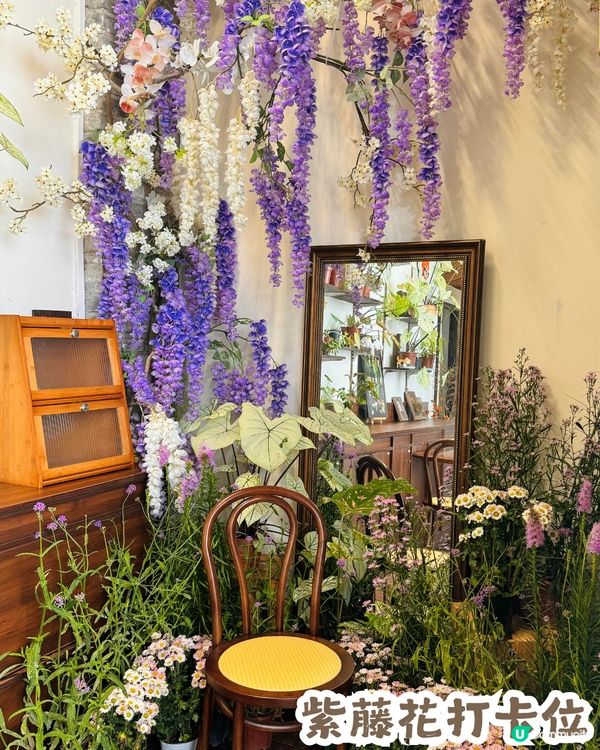 深圳隱世「莫奈花園」貓Cafe - 山林貓咖工坊🐈¥30起打卡花海+25隻貓貓🌸附路線教學