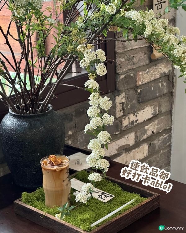 深圳隱世「莫奈花園」貓Cafe - 山林貓咖工坊🐈¥30起打卡花海+25隻貓貓🌸附路線教學