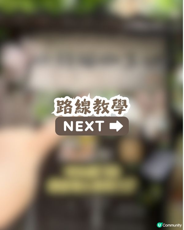 深圳隱世「莫奈花園」貓Cafe - 山林貓咖工坊🐈¥30起打卡花海+25隻貓貓🌸附路線教學