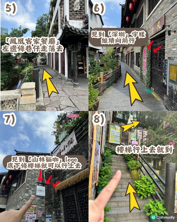 深圳隱世「莫奈花園」貓Cafe - 山林貓咖工坊🐈¥30起打卡花海+25隻貓貓🌸附路線教學