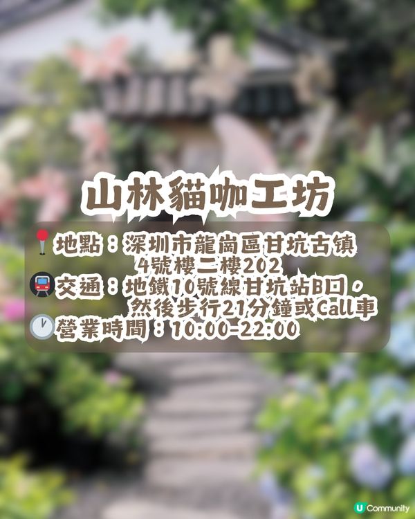 深圳隱世「莫奈花園」貓Cafe - 山林貓咖工坊🐈¥30起打卡花海+25隻貓貓🌸附路線教學