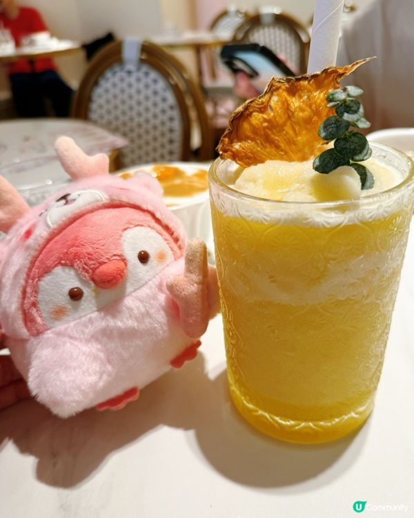 豬仔天堂！萌到捨不得走！🐷💖