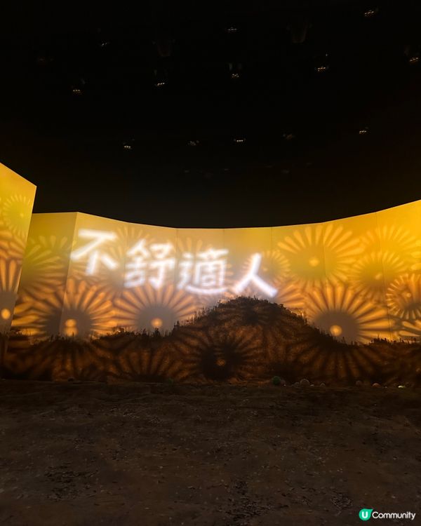 好睇❤️ 第一排 超近