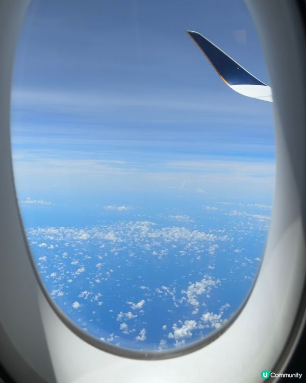 機上飛得穩超舒服！✈️🥳