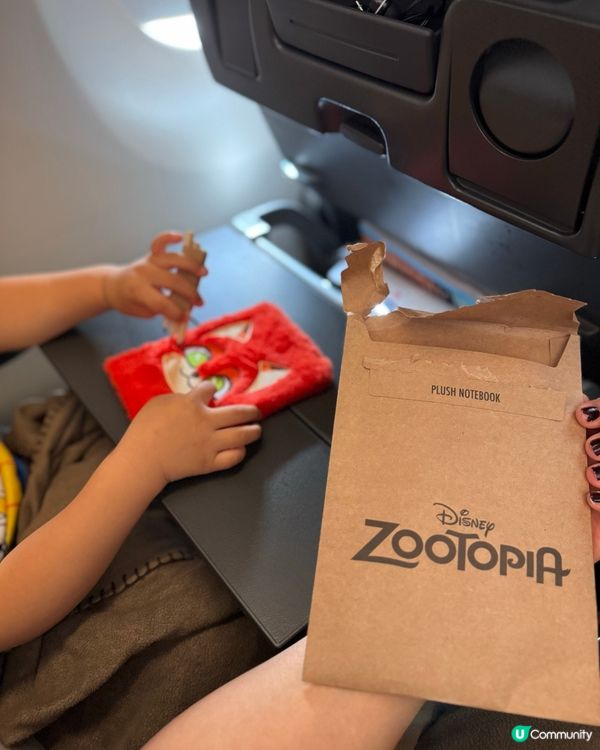 機上飛得穩超舒服！✈️🥳