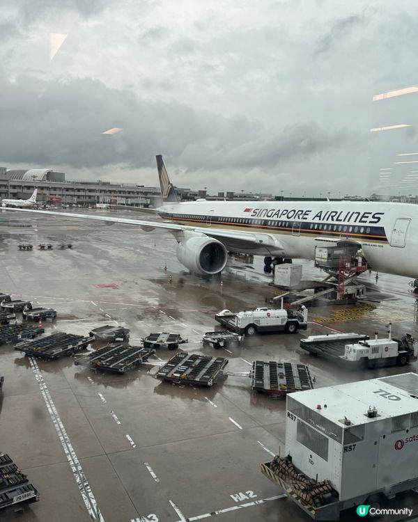 機上飛得穩超舒服！✈️🥳