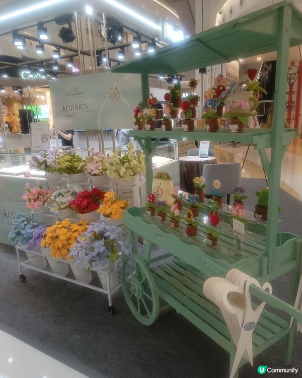 🥳 靚花任拎！旺角打卡免費送！💐