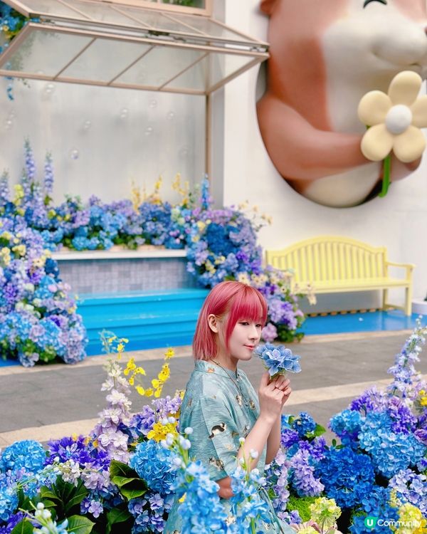 莫奈花園🪻+水瀨瀨🦦= ？？