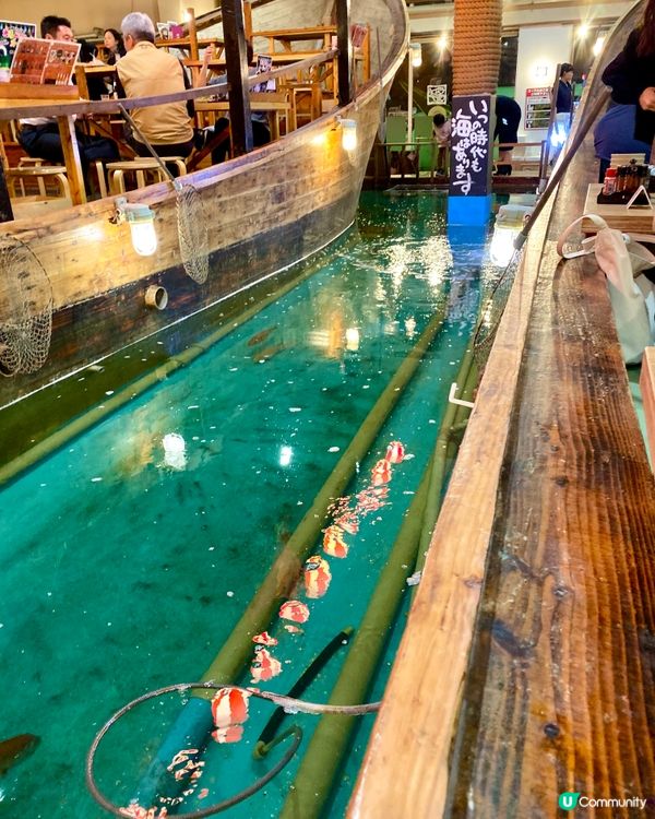 『日本』釣魚+食飯🌊🎣🍽️｜熱鬧氣氛超爆棚💯