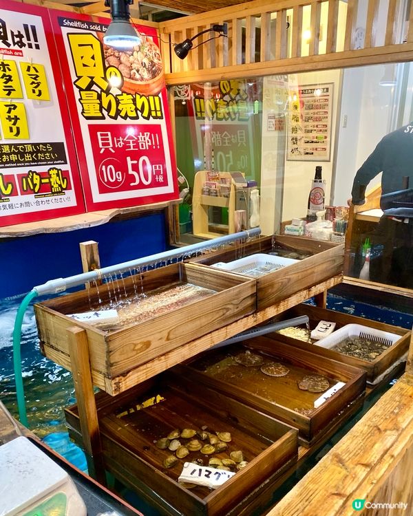 『日本』釣魚+食飯🌊🎣🍽️｜熱鬧氣氛超爆棚💯