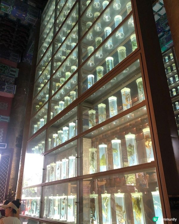 珠海圓明新園