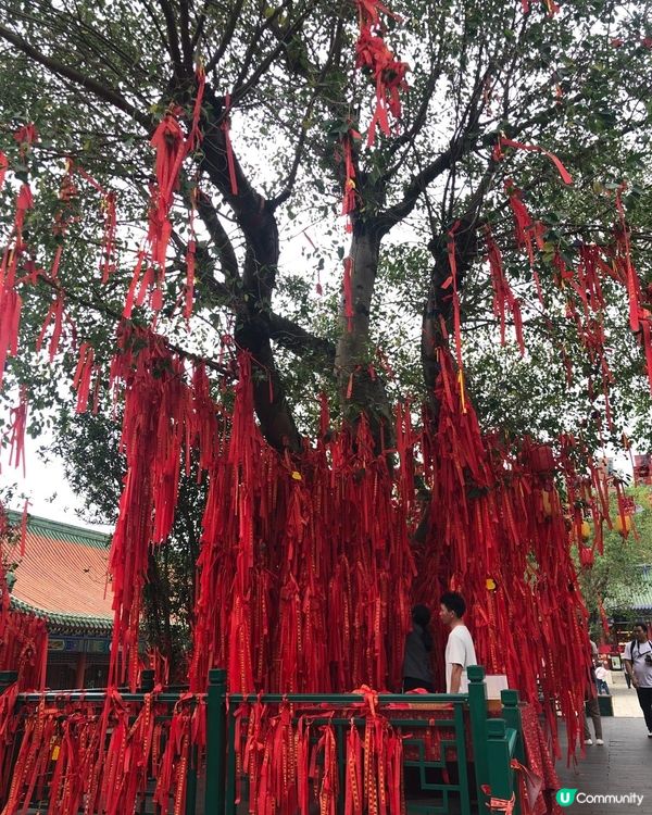 珠海圓明新園