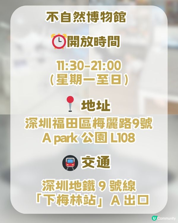 深圳抽象搞怪瘋狂博物館！充滿幽默與藝術感！1比1巨型UFO必影