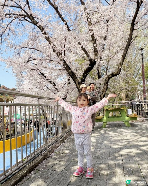 首爾大公園🎠正到爆！無料睇🌸櫻花&動物🌸🐯