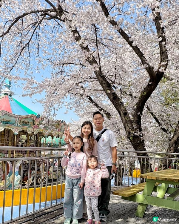 首爾大公園🎠正到爆！無料睇🌸櫻花&動物🌸🐯