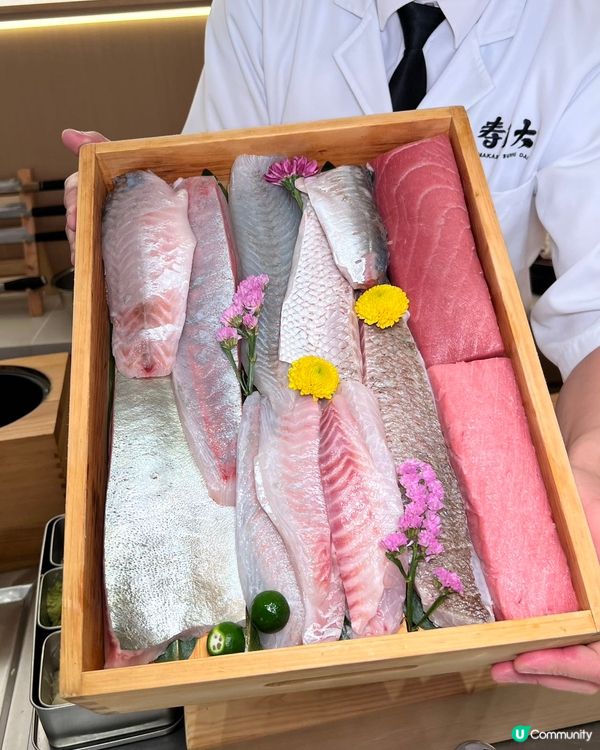 平價食千元日本菜🍣😍