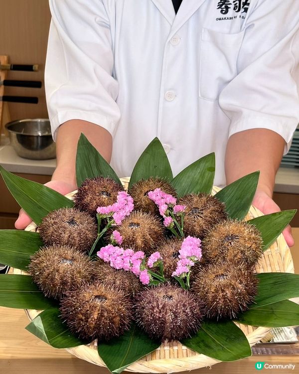 平價食千元日本菜🍣😍