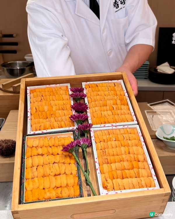 平價食千元日本菜🍣😍