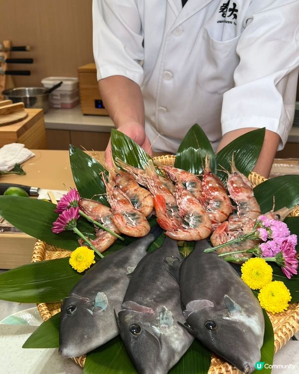 平價食千元日本菜🍣😍