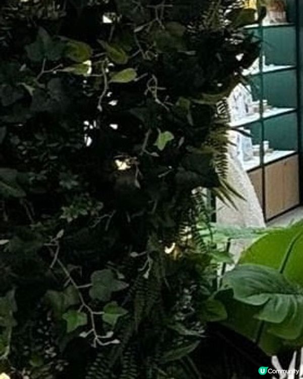 Yves Rocher「法式漫遊花園」期間限定店🌿