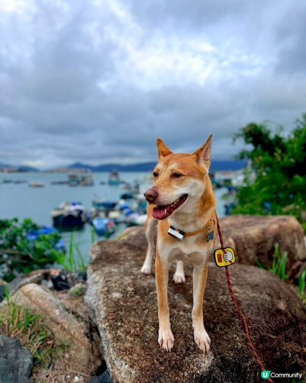 📢 識食海鮮一定係嚟呢度!😍