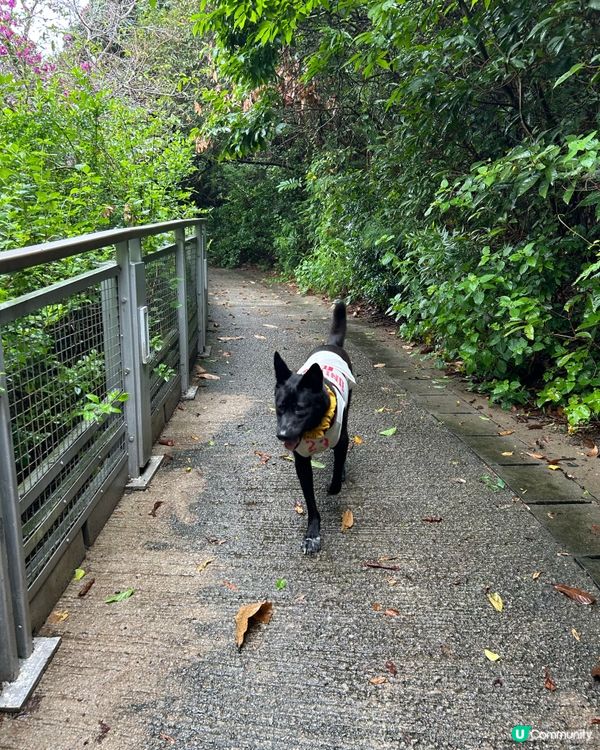 馬坑公園探秘！🚶‍♀️🏖️✨