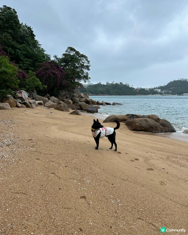 馬坑公園探秘！🚶‍♀️🏖️✨