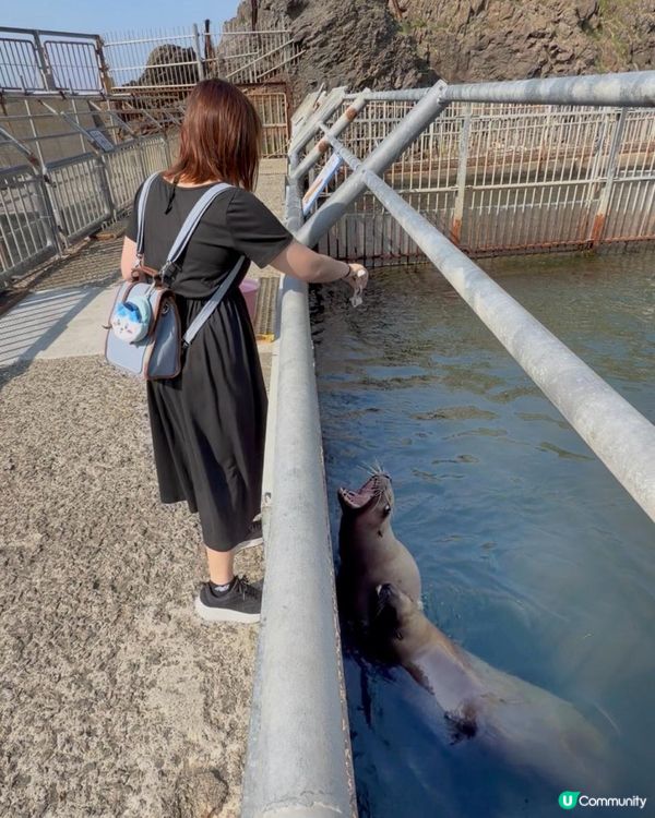 小樽水族館🌊✨ 必去！有餵魚體驗