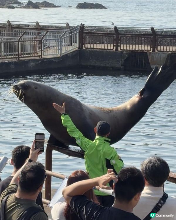 小樽水族館🌊✨ 必去！有餵魚體驗