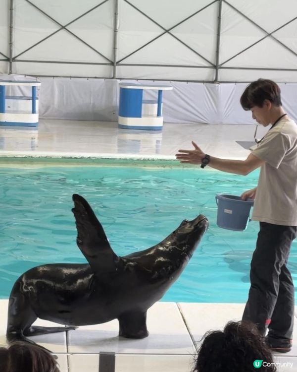 小樽水族館🌊✨ 必去！有餵魚體驗