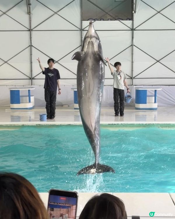 小樽水族館🌊✨ 必去！有餵魚體驗