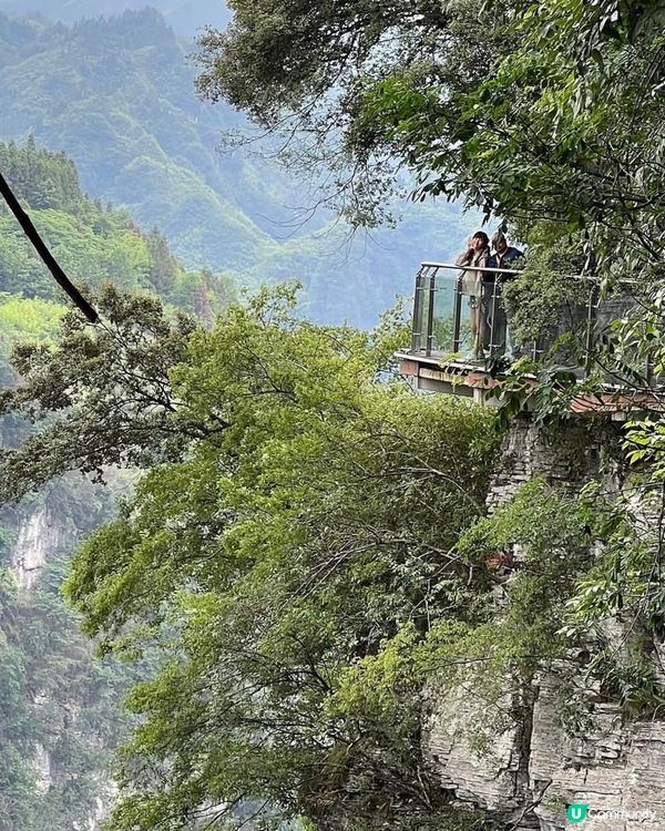矮寨大橋驚險玻璃棧道體驗🏞️